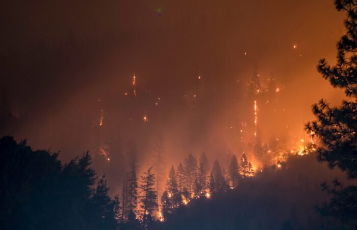 AI-enabled Forest Fire Detection and Prediction for Early Intervention